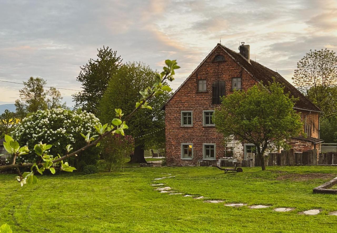 Bed and Breakfast Dom Na Krzewiu Gryfów Śląski Exteriér fotografie