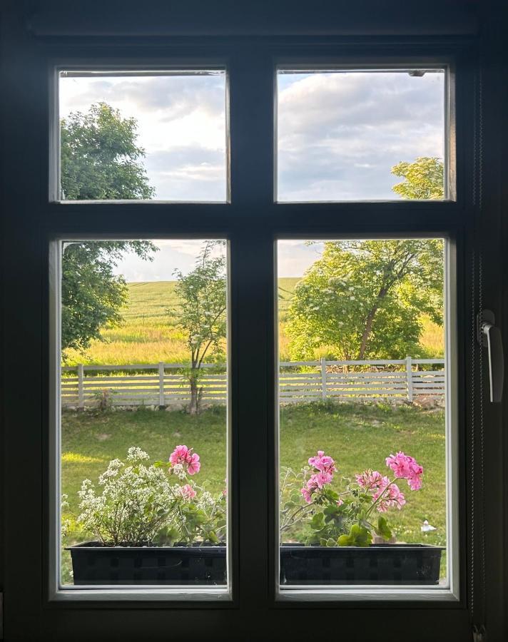 Bed and Breakfast Dom Na Krzewiu Gryfów Śląski Exteriér fotografie