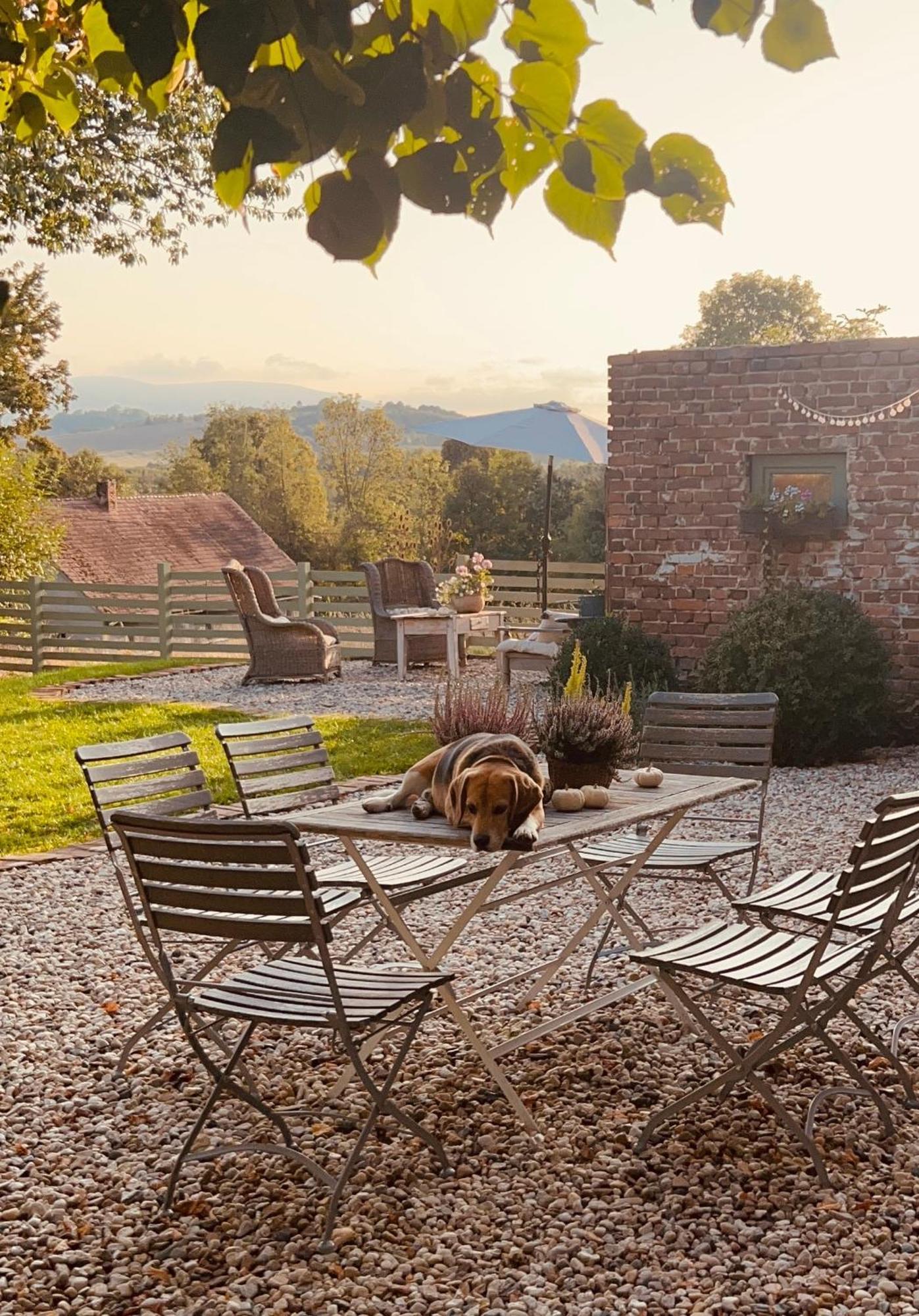 Bed and Breakfast Dom Na Krzewiu Gryfów Śląski Exteriér fotografie